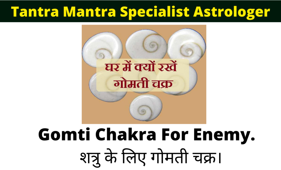 शत्रु के लिए गोमती चक्र।- tantra-mantra-specialist-astrologer-gomti-chakra-for-enemy.-